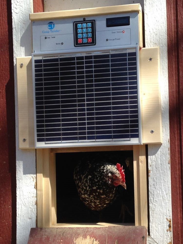 Automatic Door For Chicken Coop With Battery Backup - Energize Trek