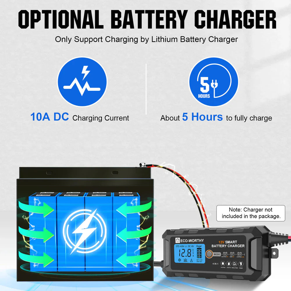 ECO-WORTHY 12V 50Ah Lithium Iron Phosphate Battery - Energize Trek