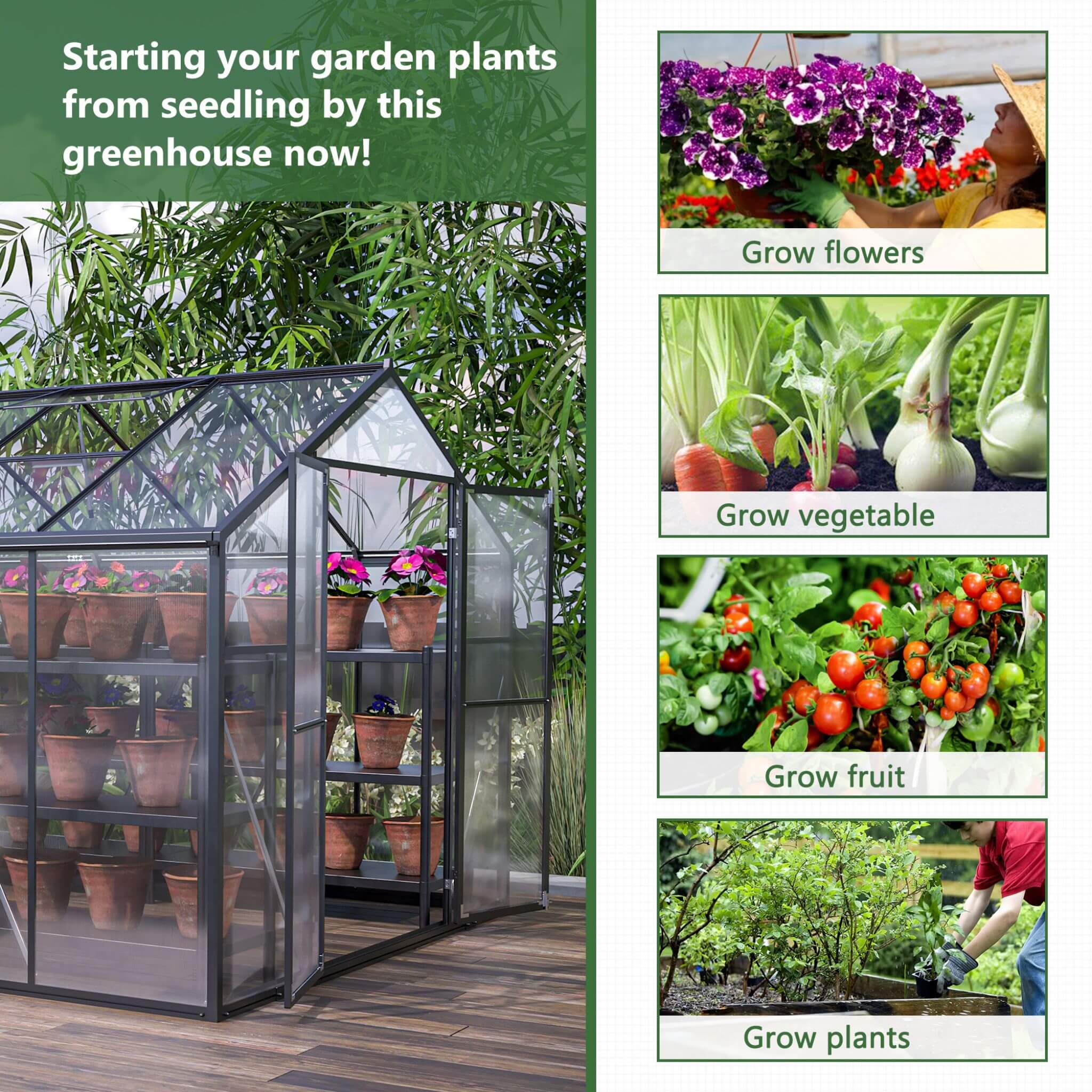 [08X12FT] Large Outdoor Heavy Duty Polycarbonate Walk-In Greenhouse With Double Swing Doors And Two Ventilation Windows (SAK73651) - Energize Trek