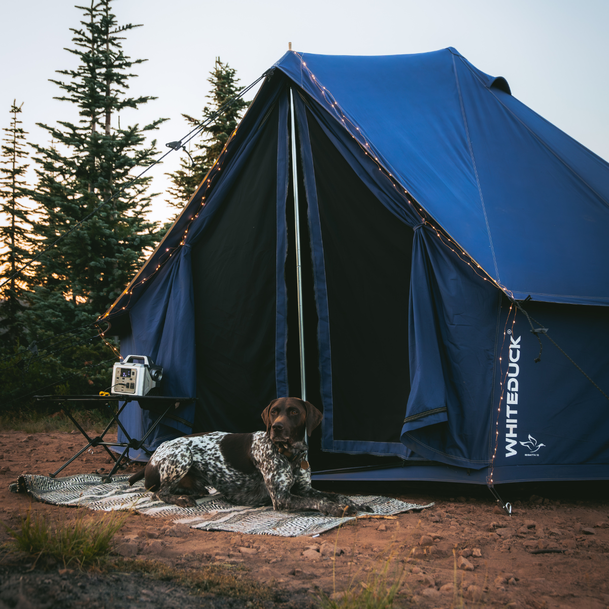 USED - 20' Regatta Bell Tent - Saphhire Blue - Energize Trek