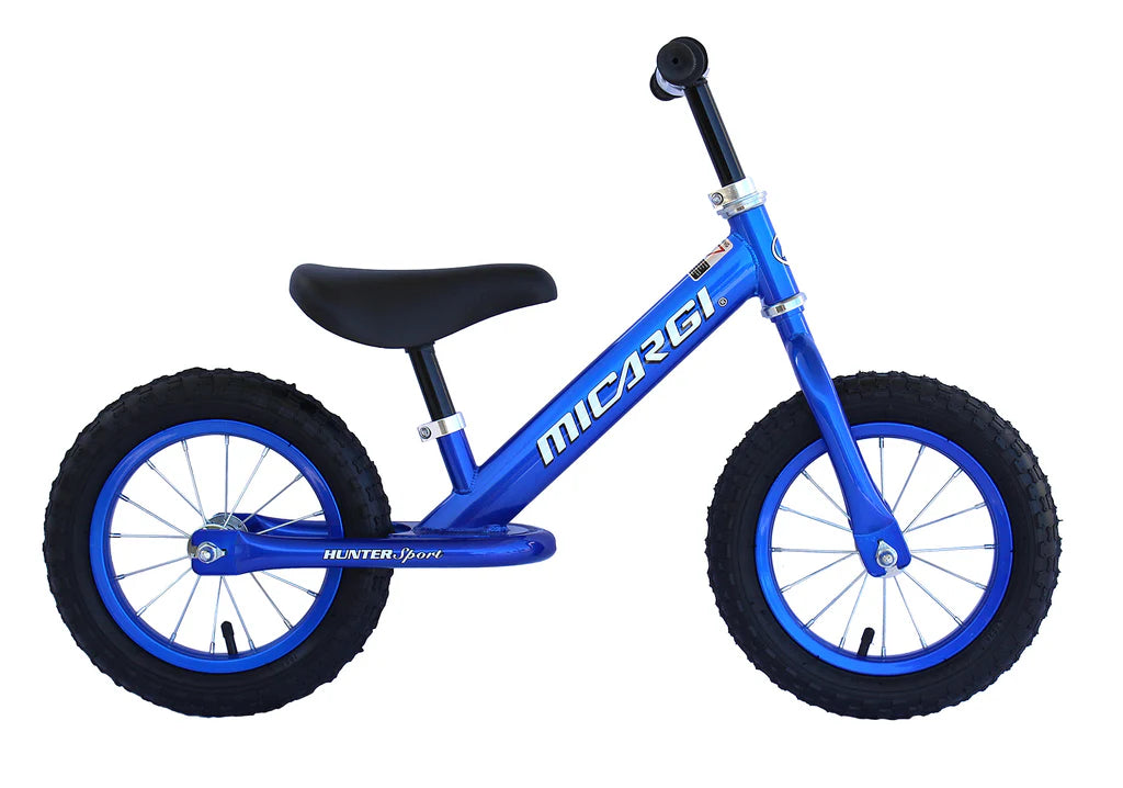 12" Push Bikes Steel Frame Air Tire - Hunter Sport - Energize Trek