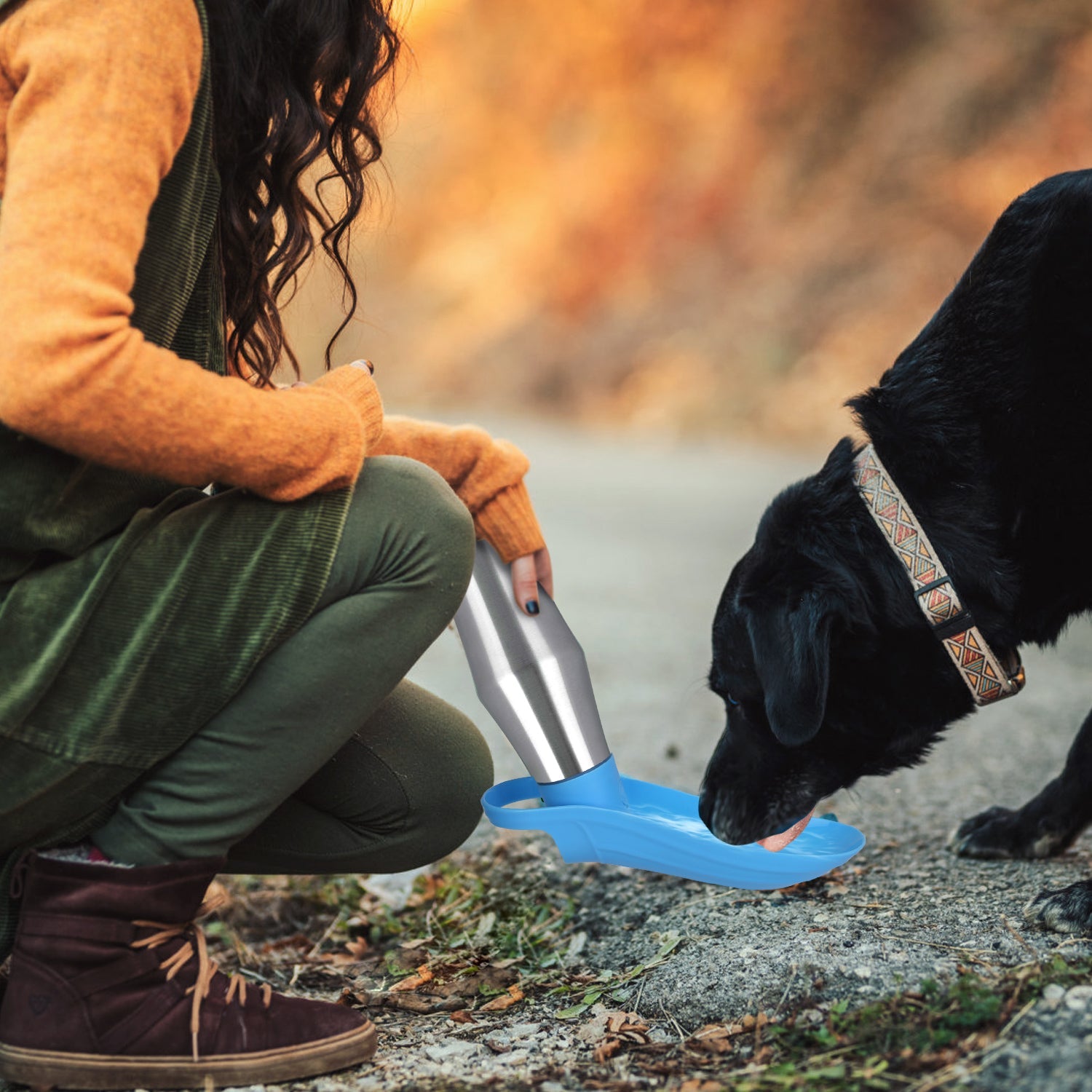 25OZ Portable Dog Water Bottle Foldable Stainless Steel Water Dispenser Leak-Proof Design for Dog Walking Traveling Hiking Outdoor Activities - Energize Trek