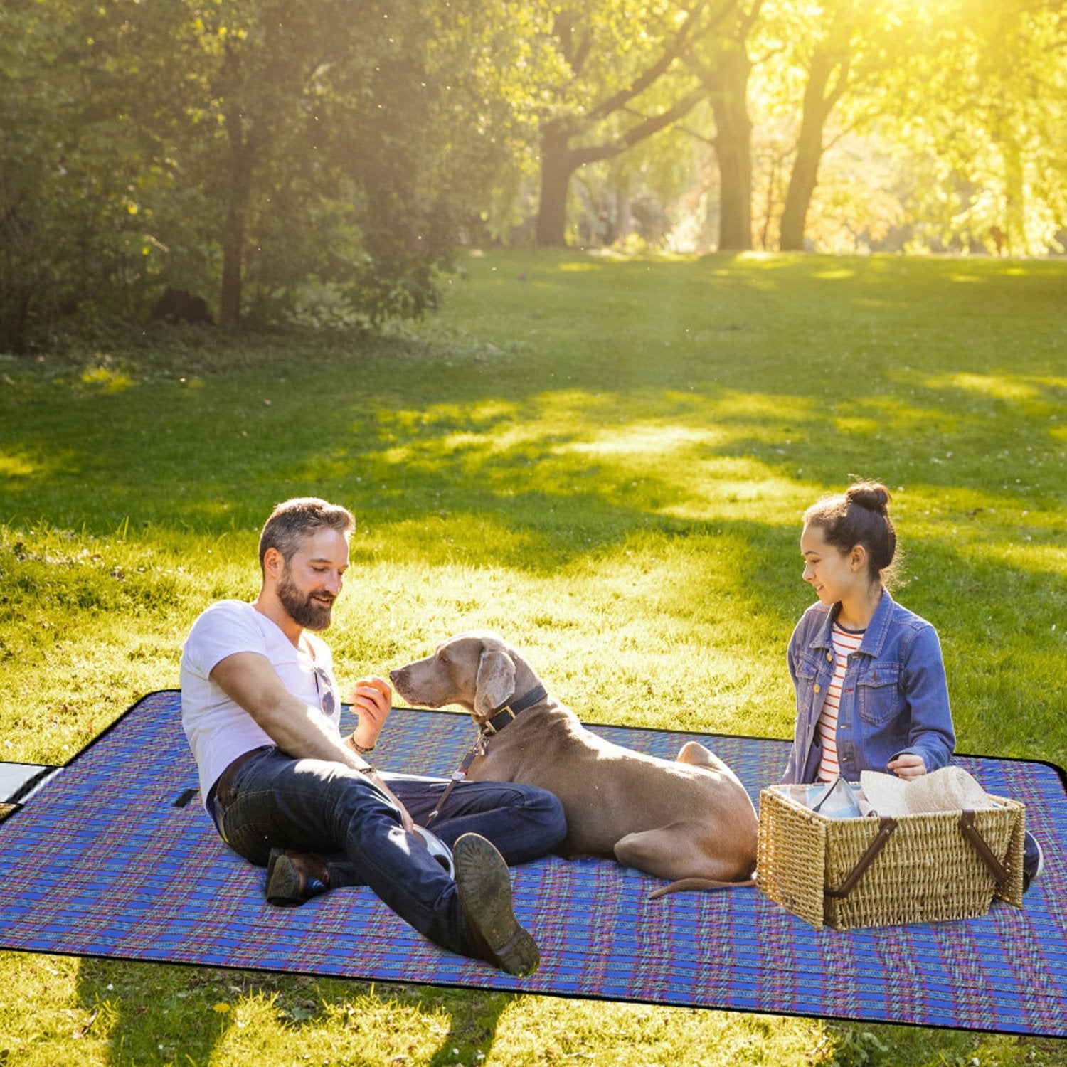 60" x 78" Waterproof Picnic Blanket Handy Mat with Strap Foldable Camping Rug for Camping Hiking Grass Travelling - Energize Trek