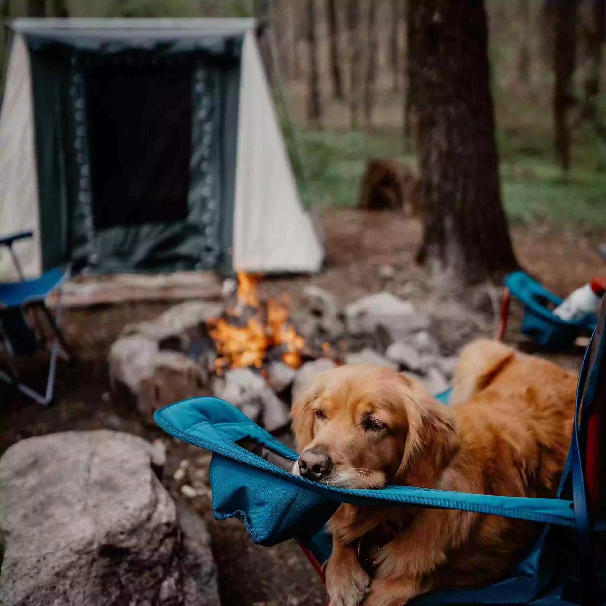 7'x9' Prota Canvas Tent - Energize Trek