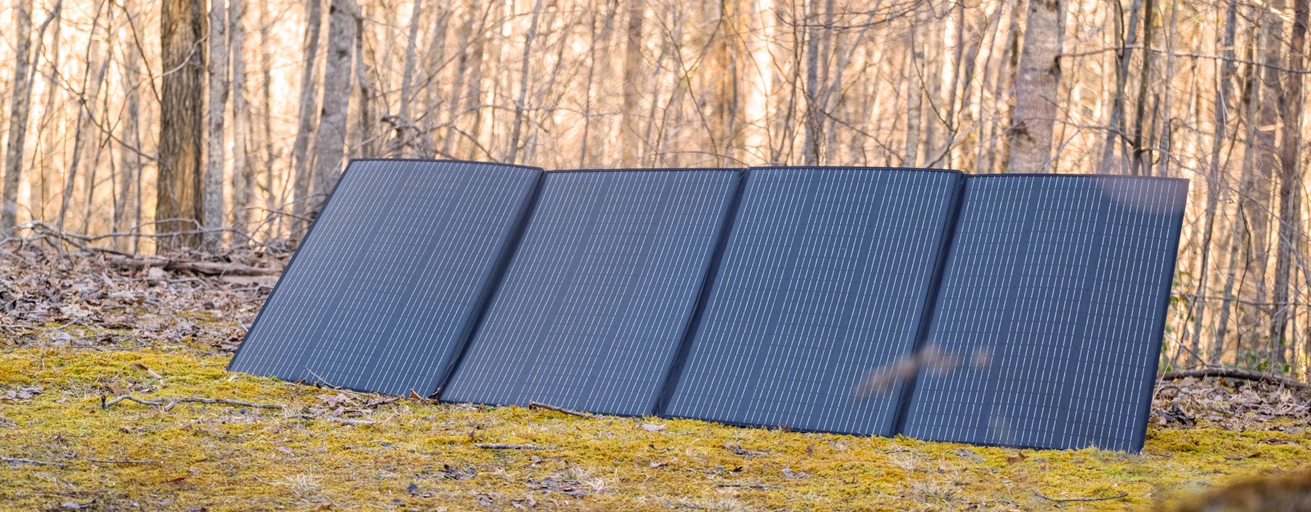 BLUETTI 350W Solar Panel - Energize Trek