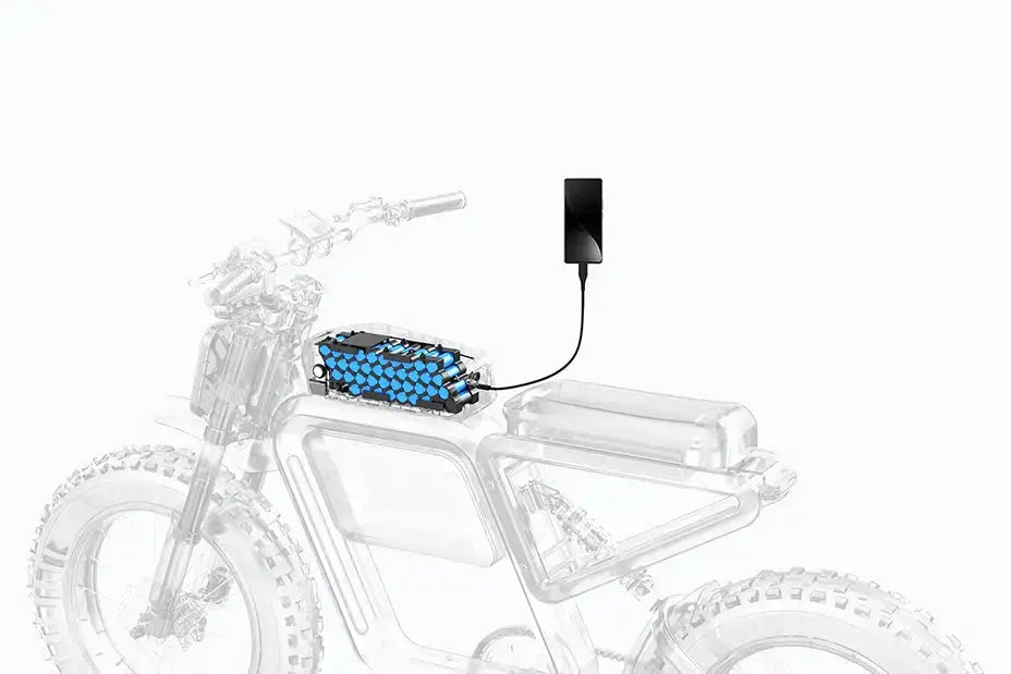 Bondi | ForeverBlu - Energize Trek