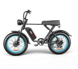 C91-20 Inch Dual-drive High-speed Electric Bike - Energize Trek