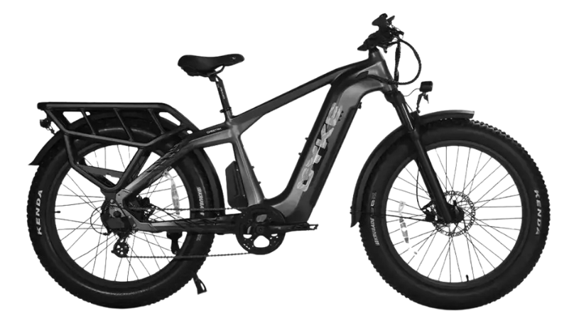 CHEETAH HUNTING | EBIKE - Energize Trek