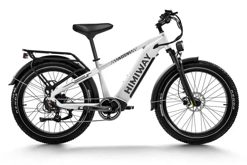 D5 (Zebra) / All-terrain Electric Fat Bike - Energize Trek