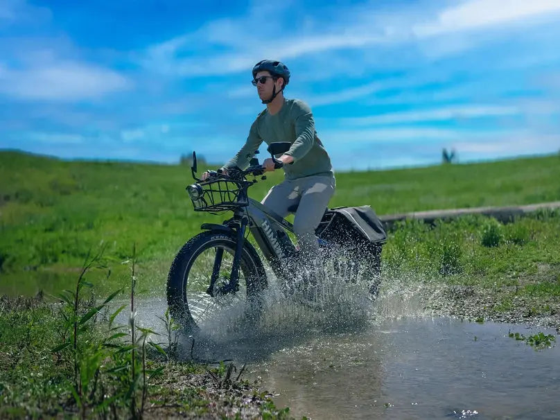 D5 (Zebra) / All-terrain Electric Fat Bike - Energize Trek