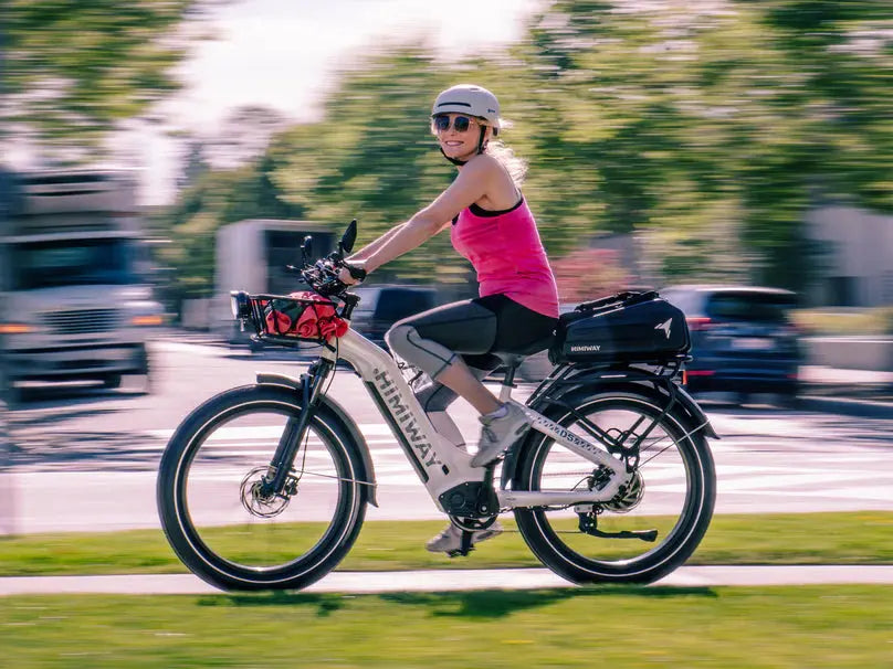 D5 (Zebra) / All-terrain Electric Fat Bike - Energize Trek