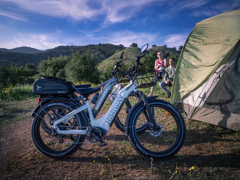 D5 (Zebra) / All-terrain Electric Fat Bike - Energize Trek