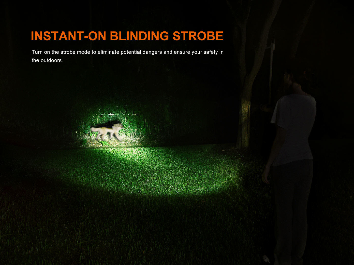 Fenix LD35R High Performance Multimode Tactical Flashlight - Energize Trek