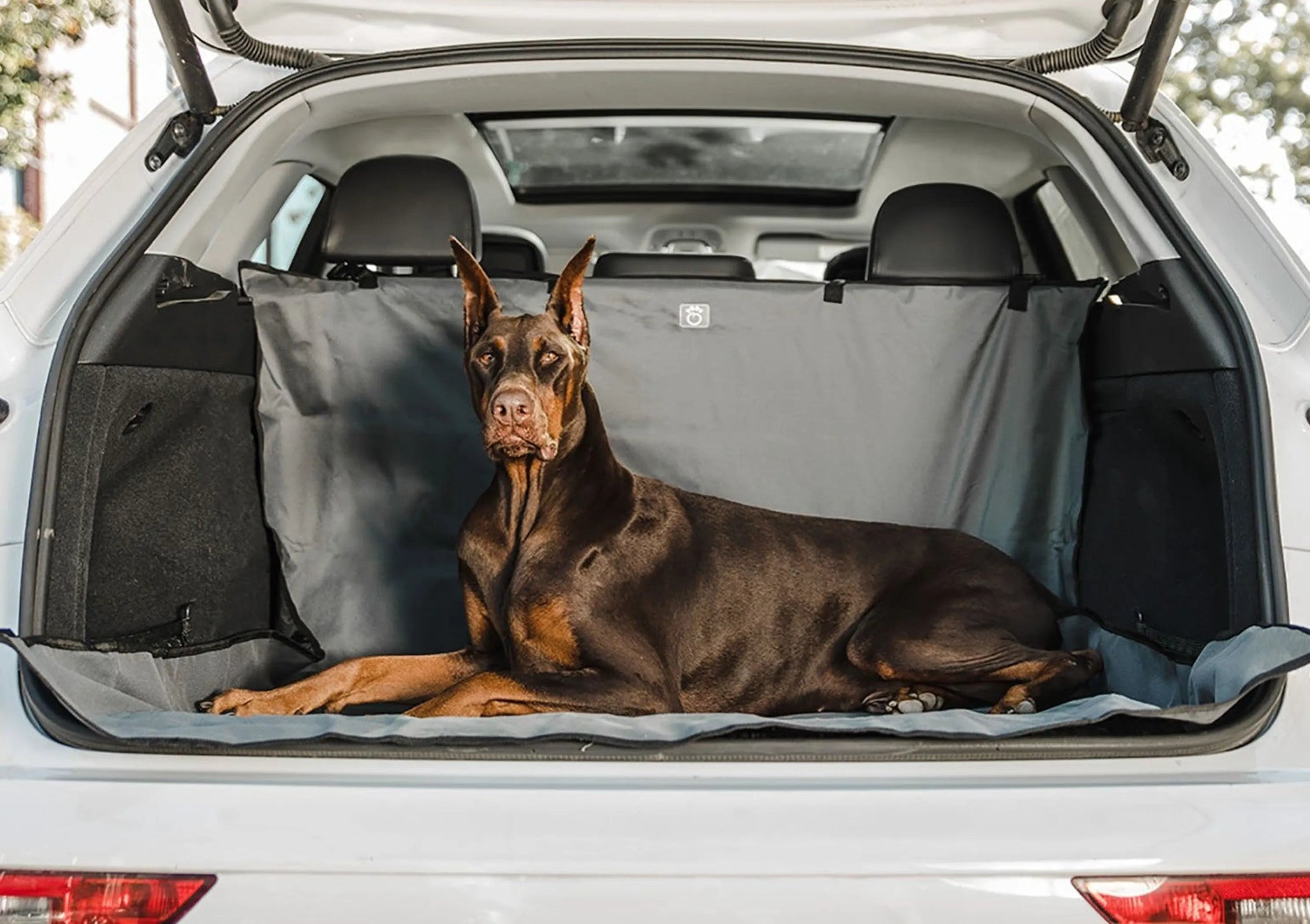 GF Pet  Pet Cargo Cover - Energize Trek