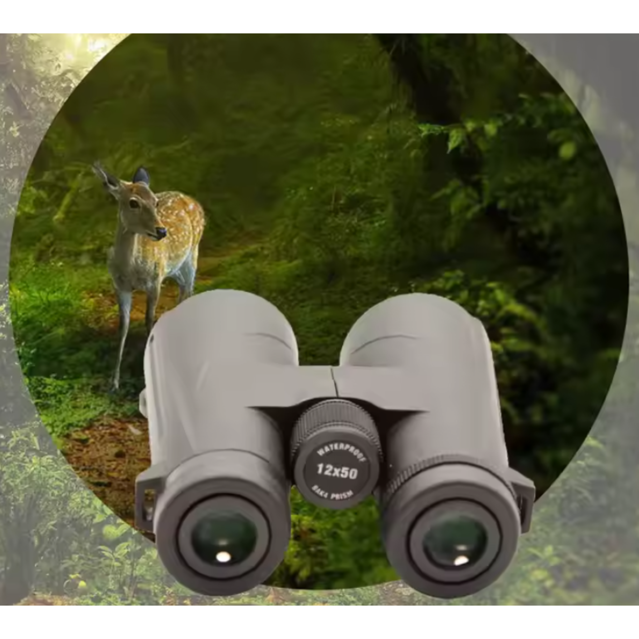 HawkPro Eclipse 10x50 Binoculars - Energize Trek