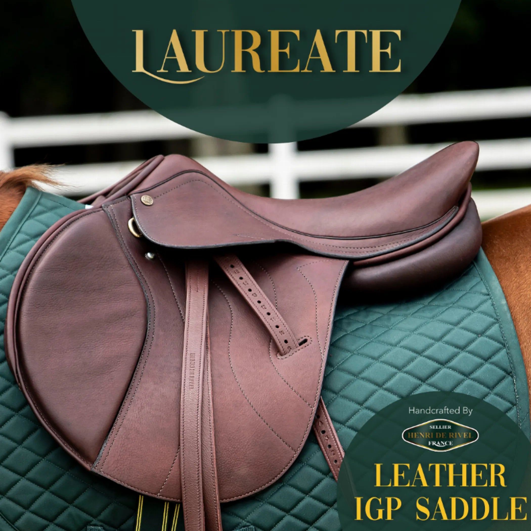 Henri De Rivel Laureate Leather IGP Saddle - Energize Trek