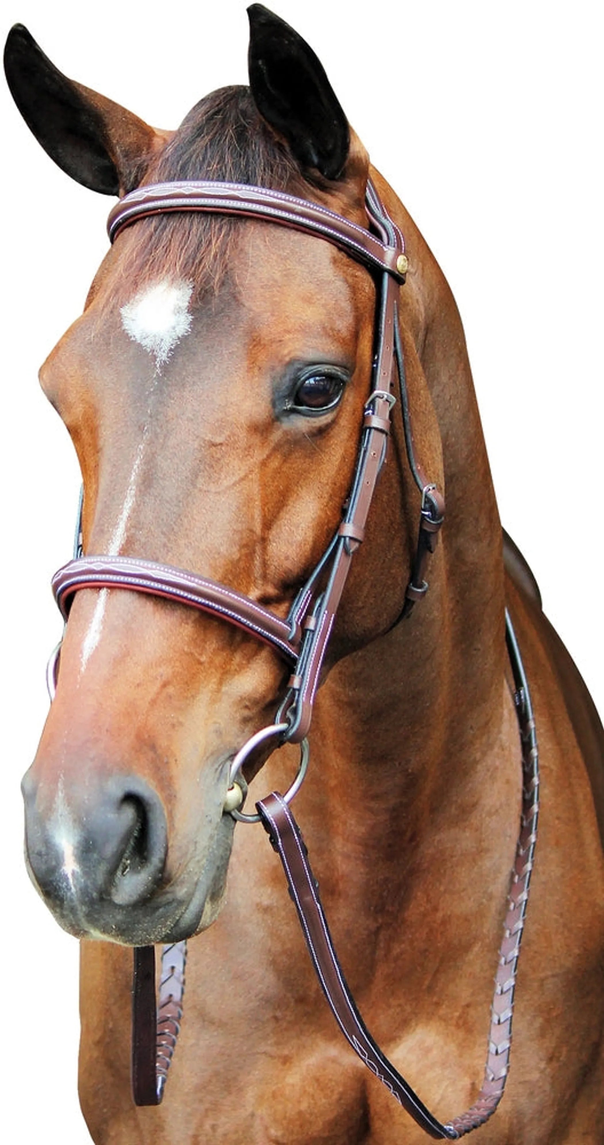 Henri de Rivel Pro Fancy Raised Comfort Crown Padded Bridle With Fancy Raised Reins - Energize Trek