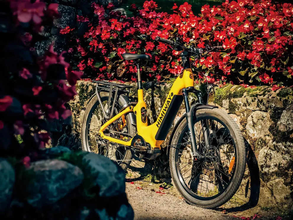 Himiway A7 Pro | Commuter eBike - Energize Trek