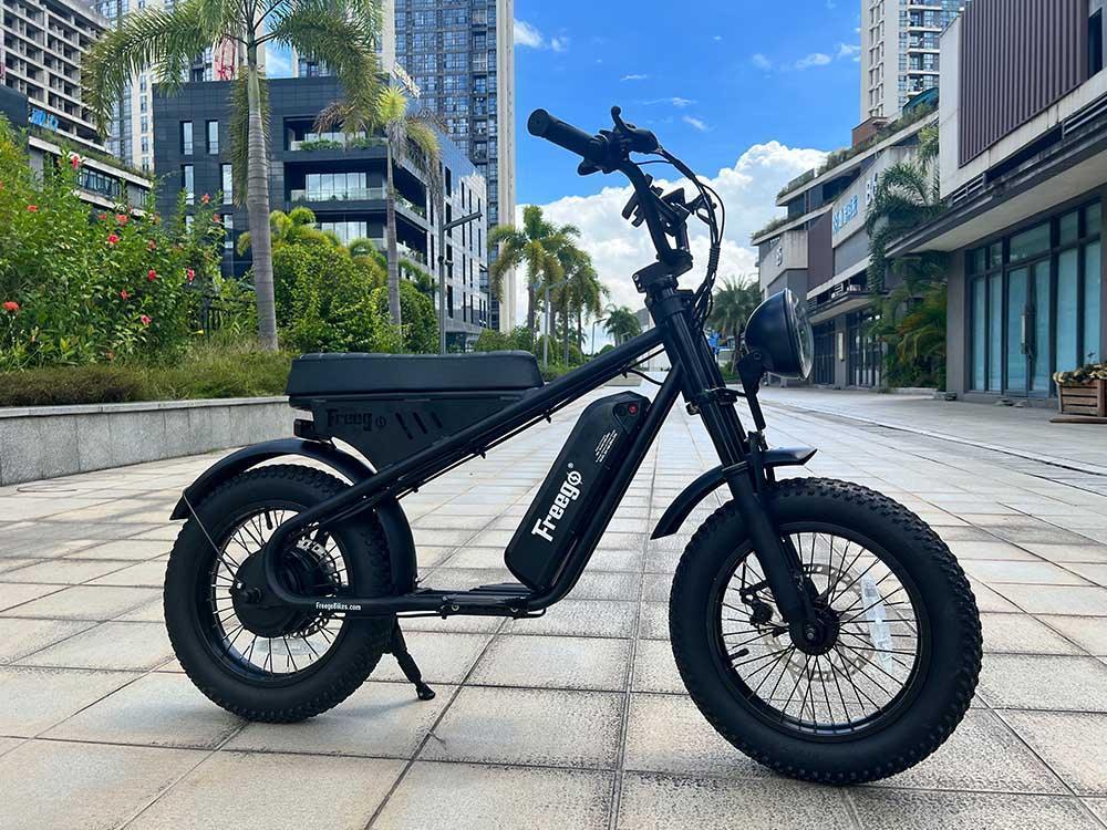 Freego Mini Fat Tire Electric Bike - Energize Trek
