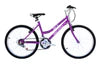 Micargi 24" M40 18 Speed Mountain Bike - Energize Trek