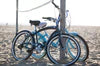 Micargi 26" Rover Beach Cruiser Bike - Energize Trek