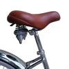 Micargi Cougar GTS Beach Cruiser Bike - Energize Trek