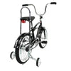 Micargi Taylor 16" Bicycle Low Rider Kid Bike with Training Wheels - Energize Trek