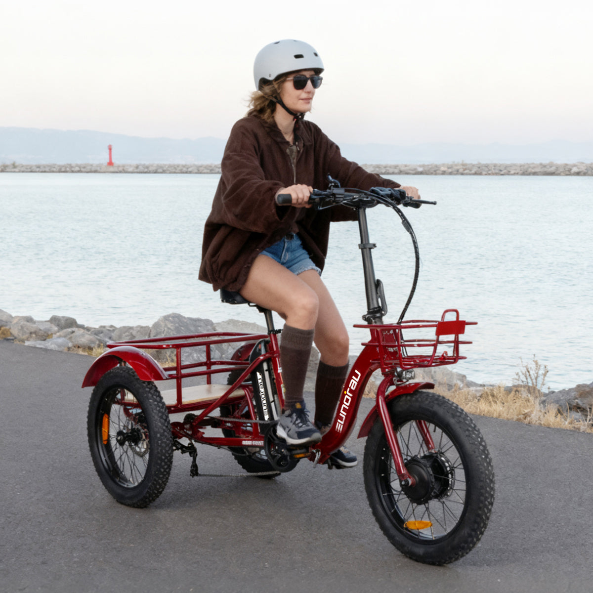 NEW-TRIKE 2.0 - Energize Trek