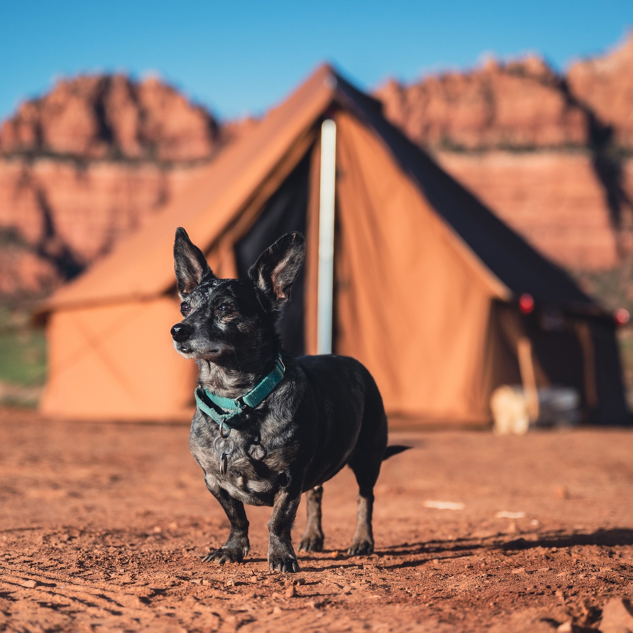 Regatta Bell Tent - Energize Trek