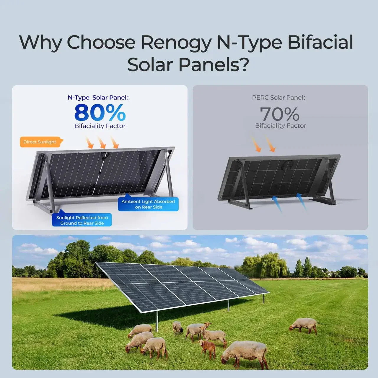 Renogy N-Type Bifacial 2PCS 590W Monocrystalline Solar Panel - Energize Trek