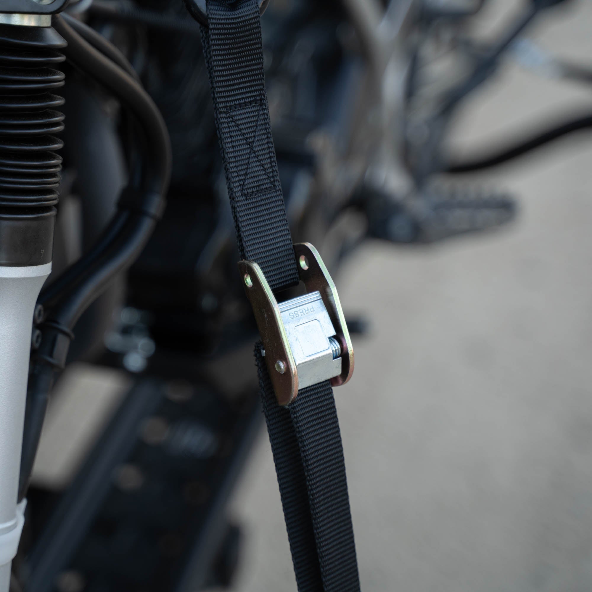 SafeLoop Cam Buckle Tie Downs - Energize Trek
