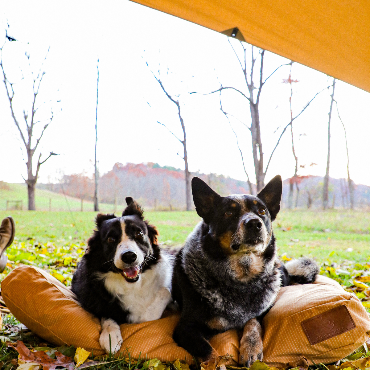 Sunshade Tarp 260 - Energize Trek