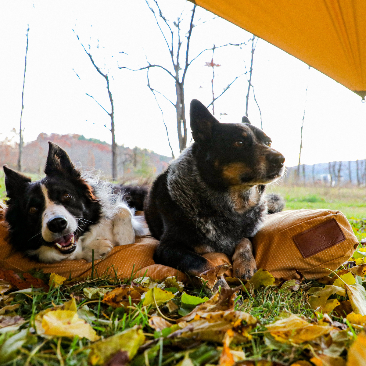 Sunshade Tarp 330 - Energize Trek
