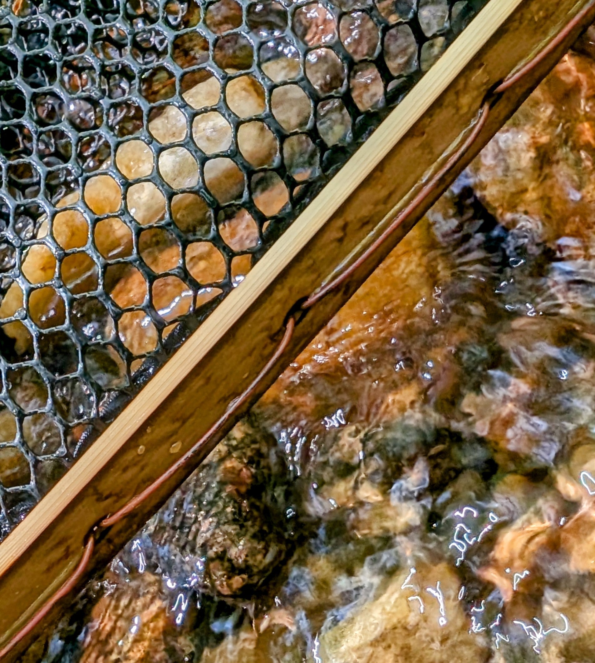 The High Sierra - 8x17" Hoop - Energize Trek