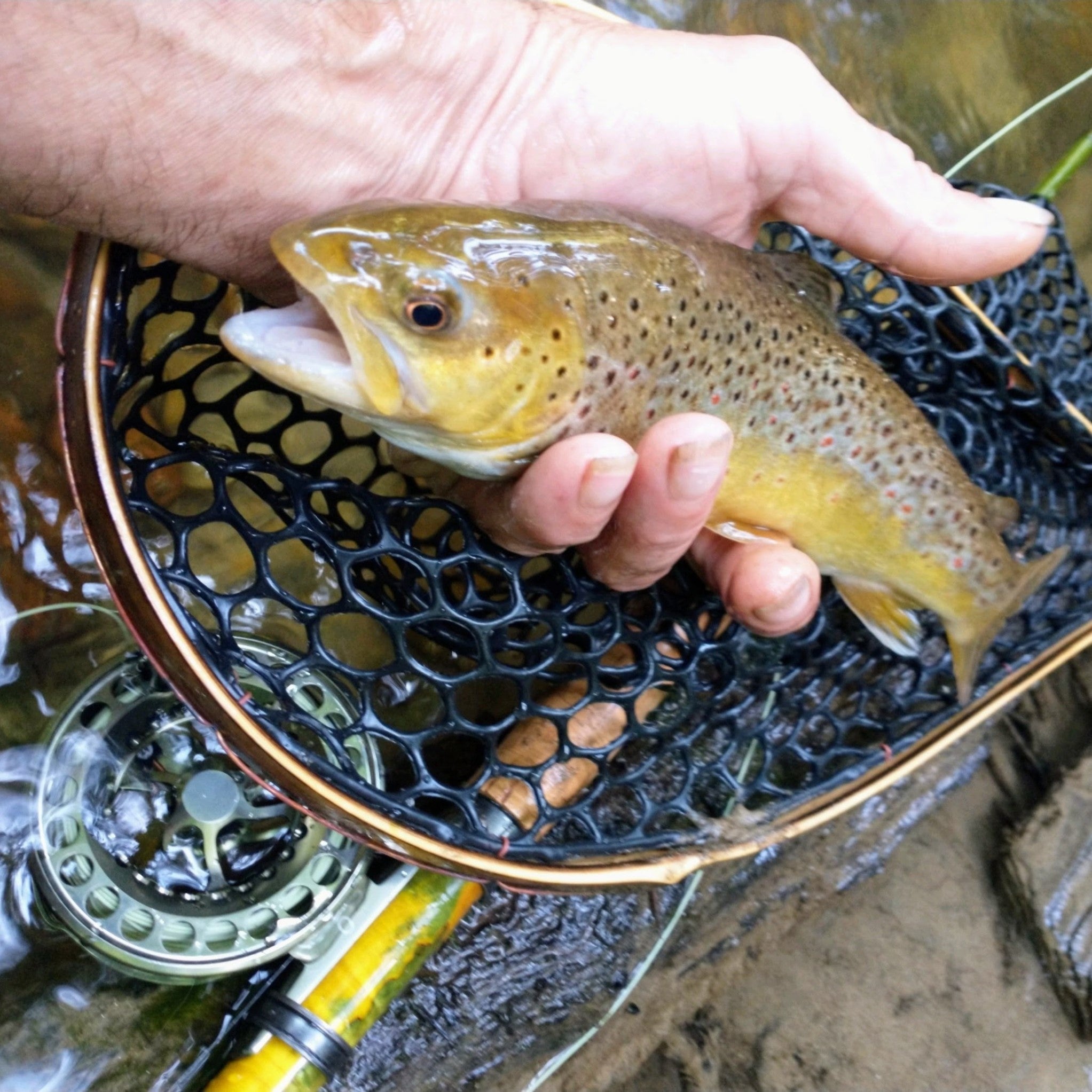 The Pocket Water - 10x15" Hoop - Energize Trek
