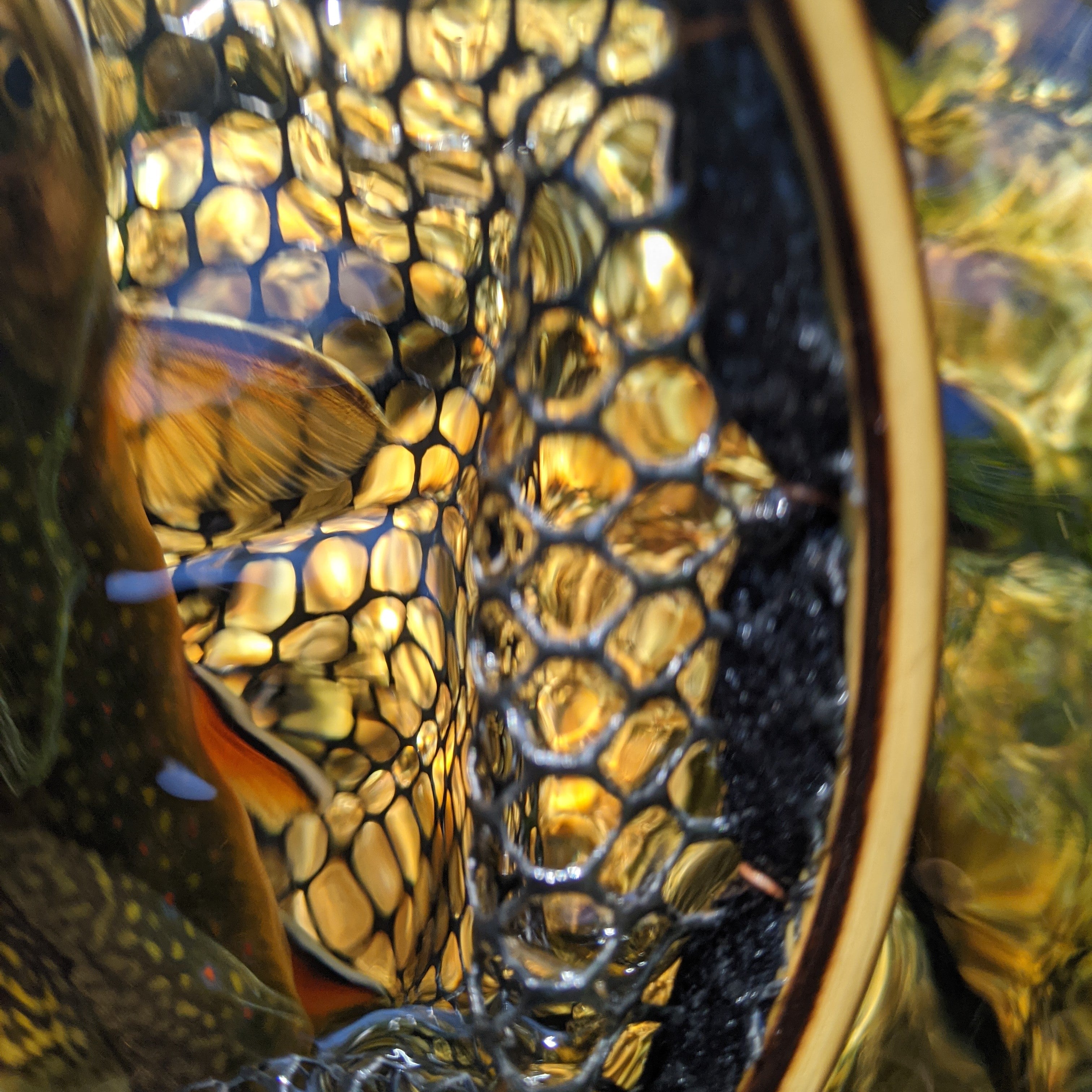 The Upstream - 13x19" Hoop - Energize Trek