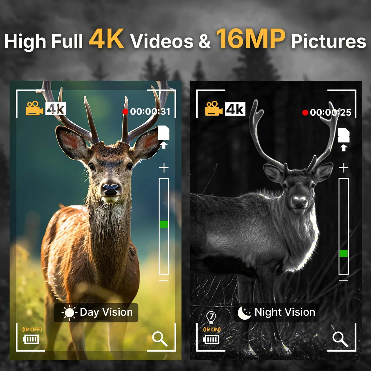 Deer in day and night vision with camera interface graphics.