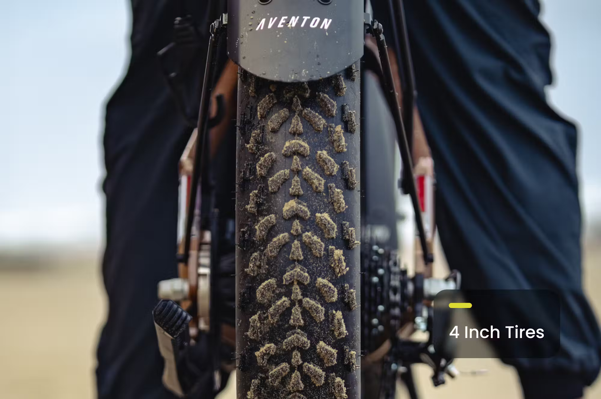 Aventon Aventure.3 E-Bike Step-Through - Energize Trek