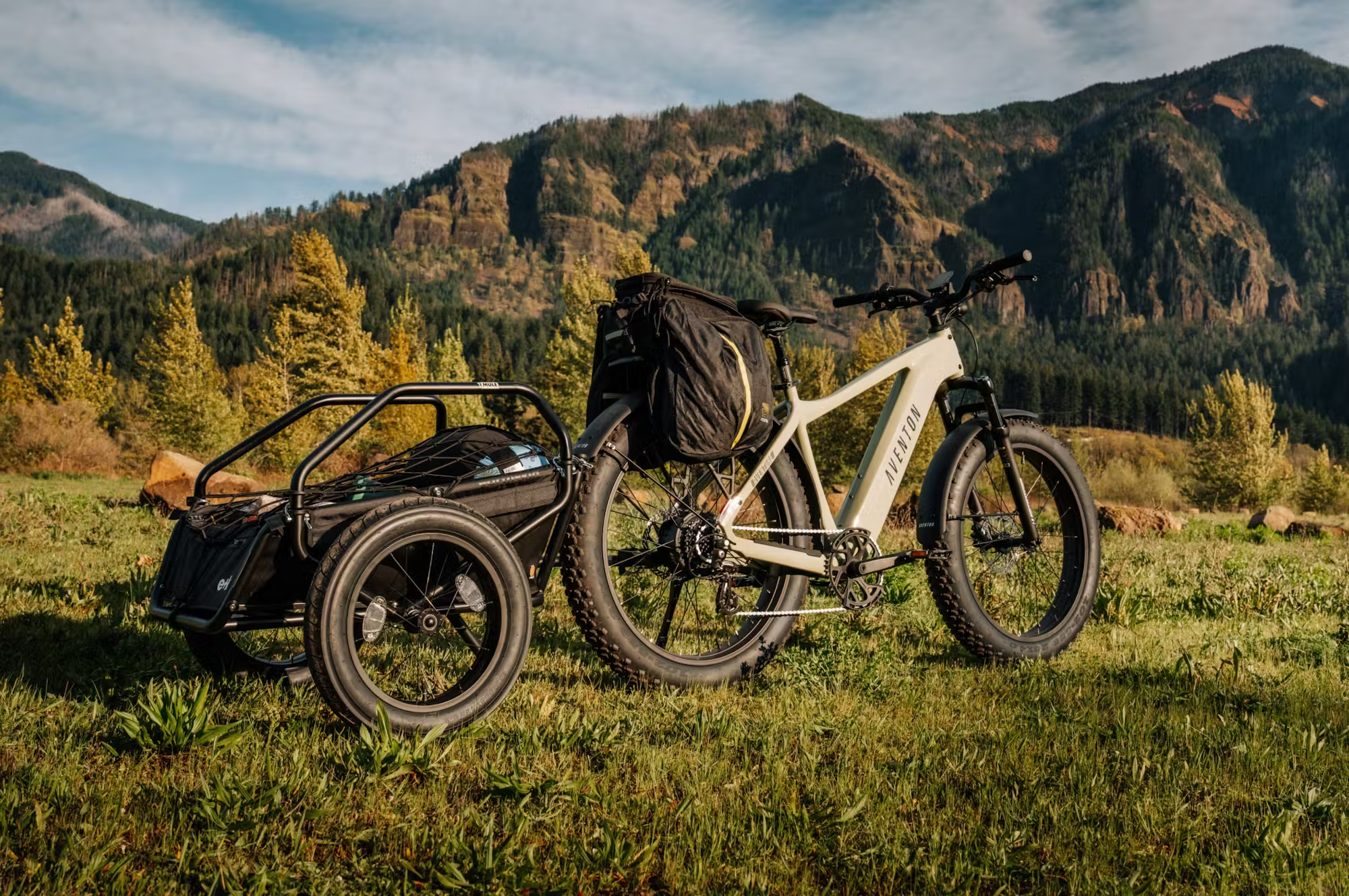 Aventon Aventure.3 E-Bike Step-Over - Energize Trek
