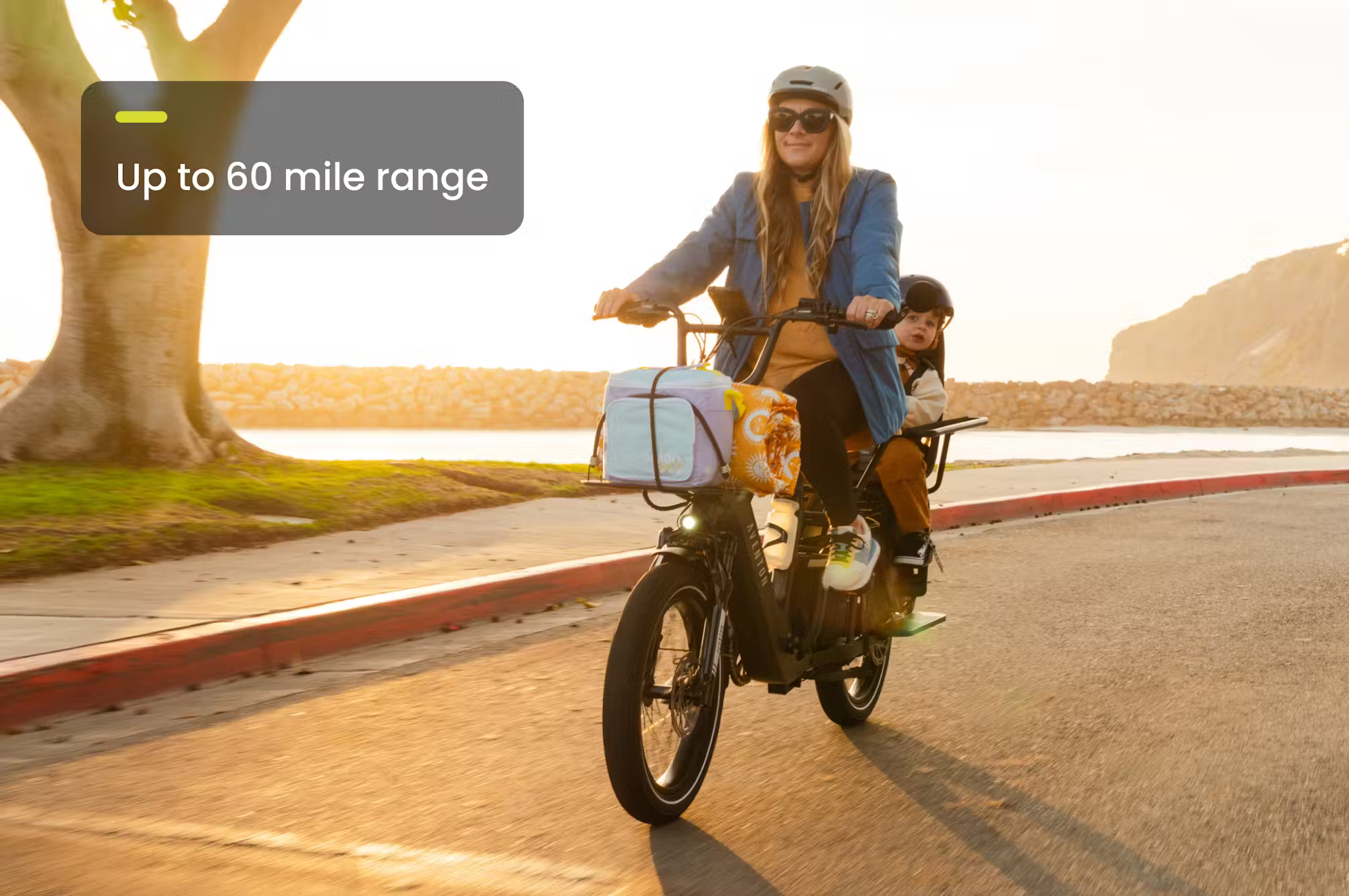 Aventon Abound LR Cargo E-Bike - Energize Trek