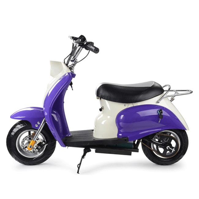 MotoTec EM 24V/12AH 350W Kids Electric Ride-On Scooter (94639816) - Energize Trek