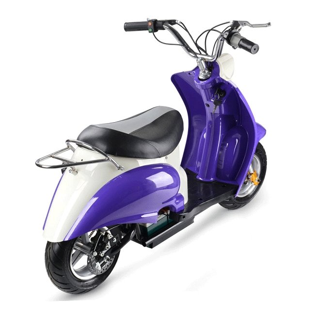 MotoTec EM 24V/12AH 350W Kids Electric Ride-On Scooter (94639816) - Energize Trek