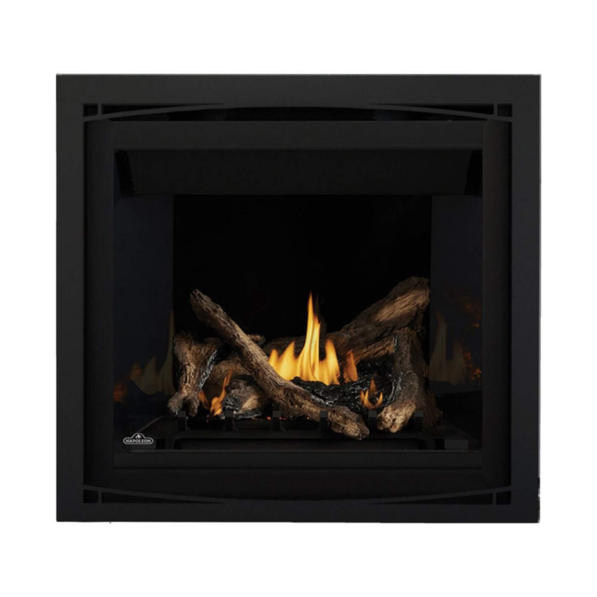 Napoleon Altitude X Direct Vent 42" Propane Fireplace [AX42PTE-1] (SAK72948) - Energize Trek