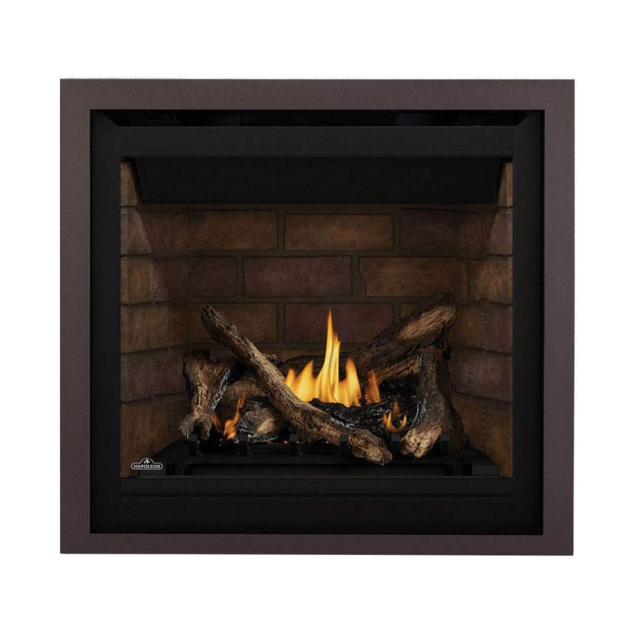Napoleon Altitude X Direct Vent 42" Propane Fireplace [AX42PTE-1] (SAK72948) - Energize Trek