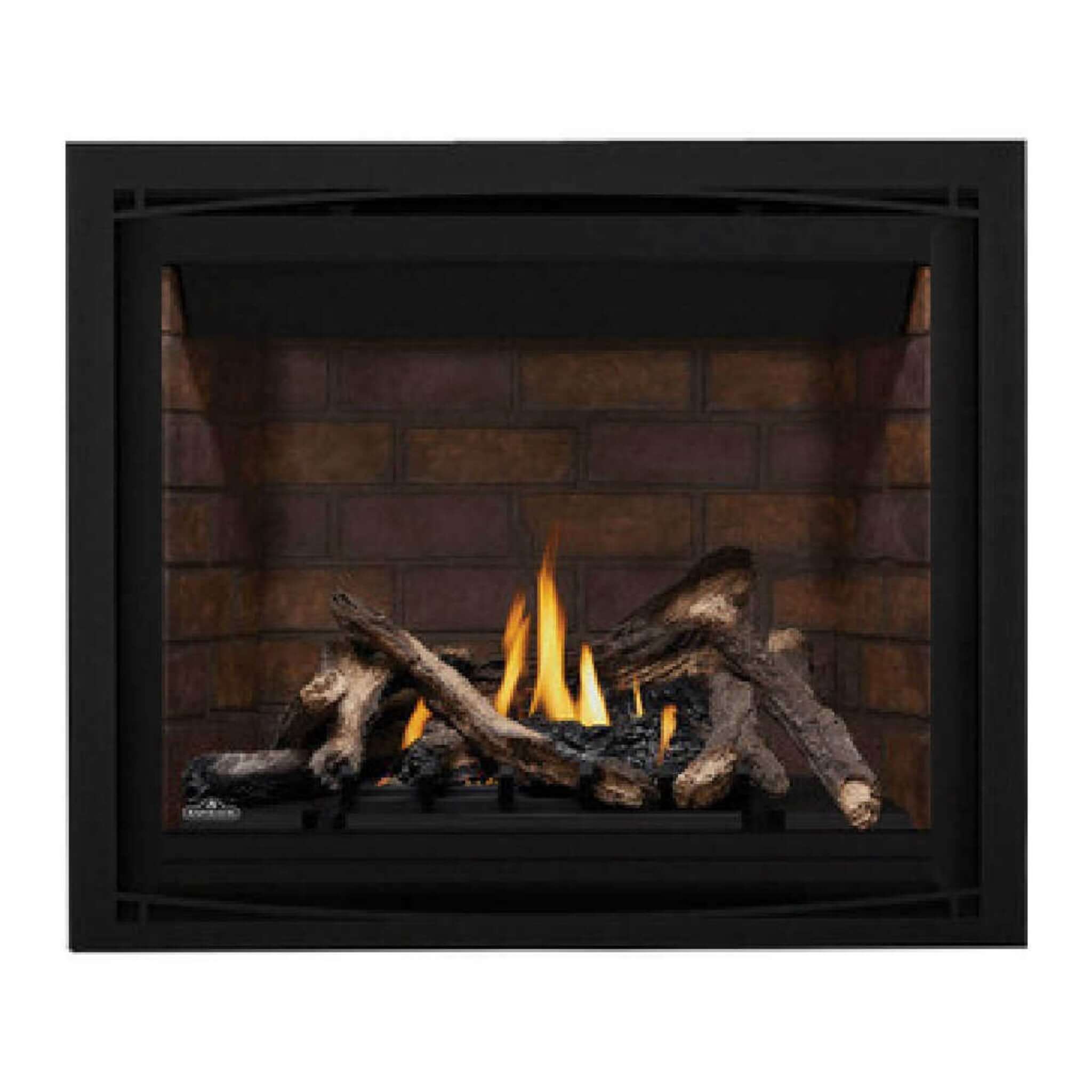Napoleon Altitude X Direct Vent 42" Propane Fireplace [AX42PTE-1] (SAK72948) - Energize Trek