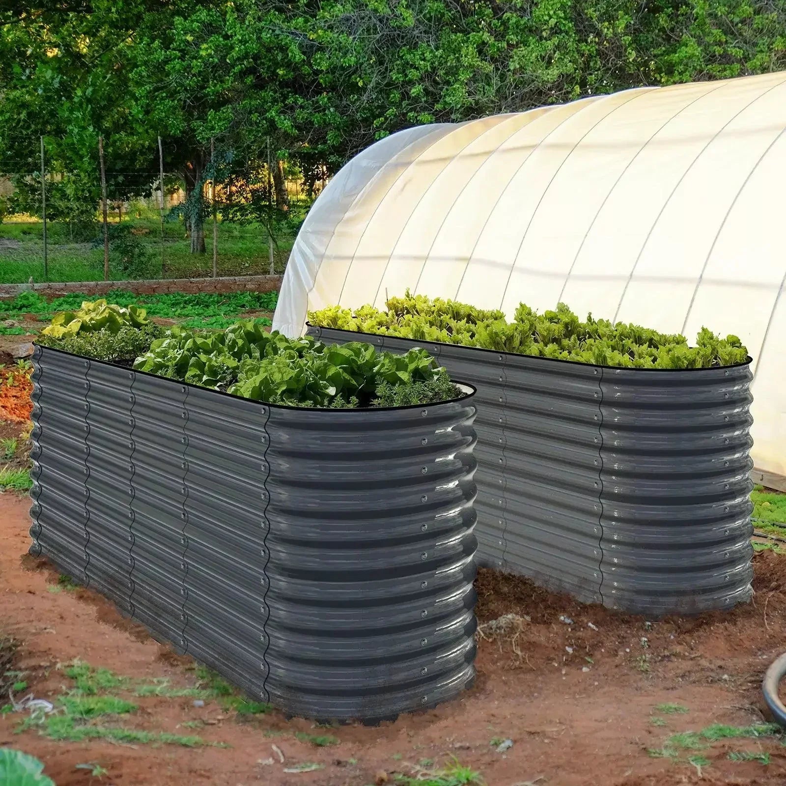 Olle Gardens 32" Tall, 12-in-1 Raised Garden Bed - Energize Trek