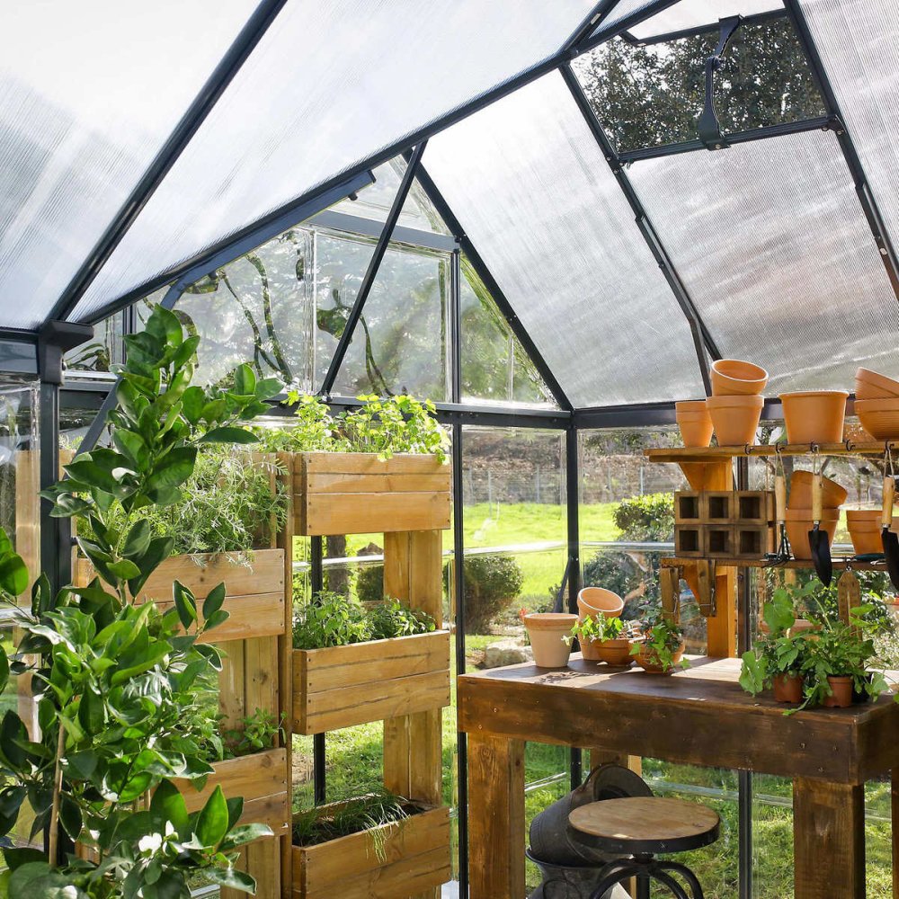 [10x12FT] Premium T-Shaped Cathedral Outdoor Walk-In Greenhouse And Solarium (91364285) - Energize Trek