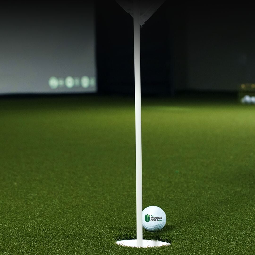 TIGS Money Putt Golf Turf - Energize Trek