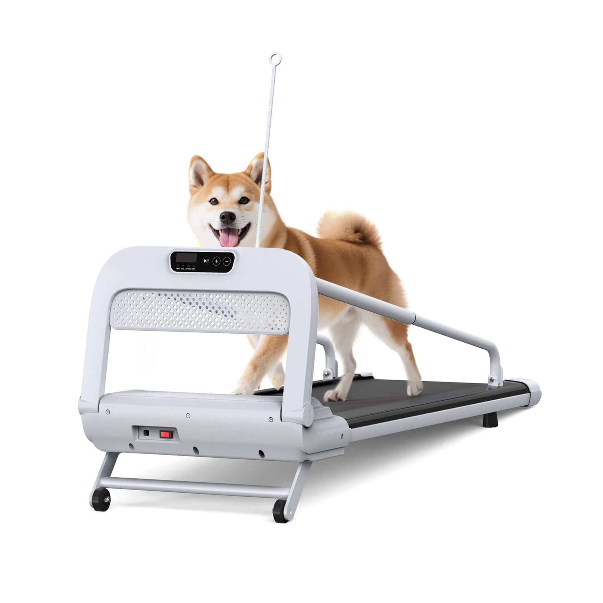 Smart Pet Treadmill With Adjustable Speed For Small And Medium Dogs (SAK72537) - Energize Trek