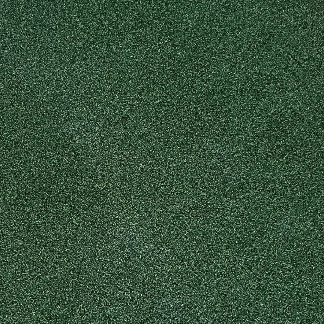 TIGS Money Putt Golf Turf - Energize Trek